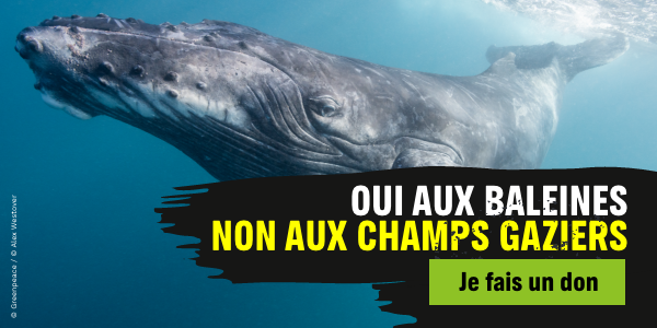 Stoppons tout nouveau projet d’extraction