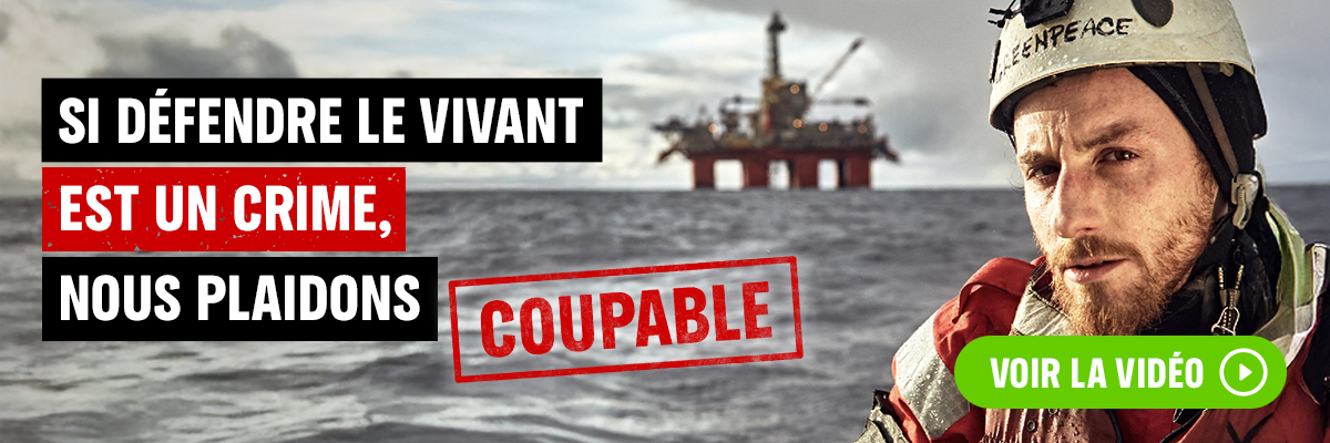 Si défendre le vivant est un crime nous plaidons coupable